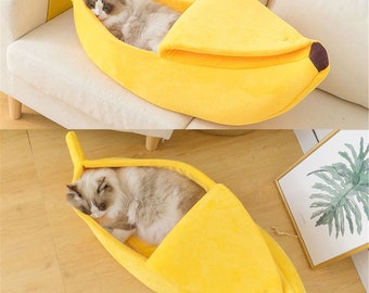funny cat beds