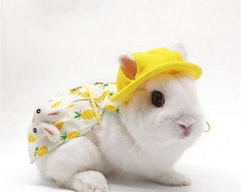 Haustier Hase Kleidung Etsy