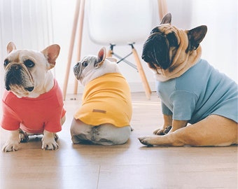 champion dog sweatshirt
