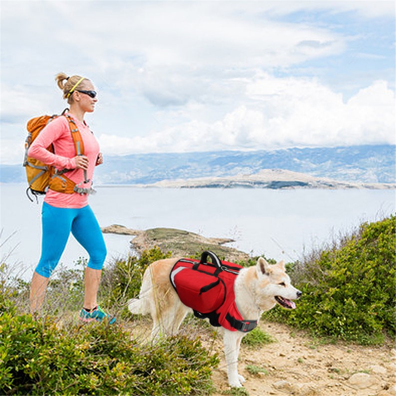 Outdoor Dog Backpack Harness Reflective Dogs Pack Hound Travel Camping Hiking Backpacks Saddle Bag for Medium Large Dogs