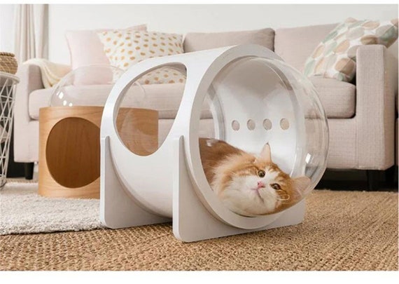 cat space bed