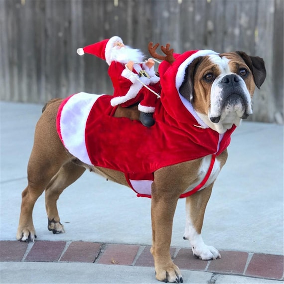 christmas clothes dogs