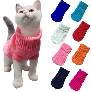cat clothing for women