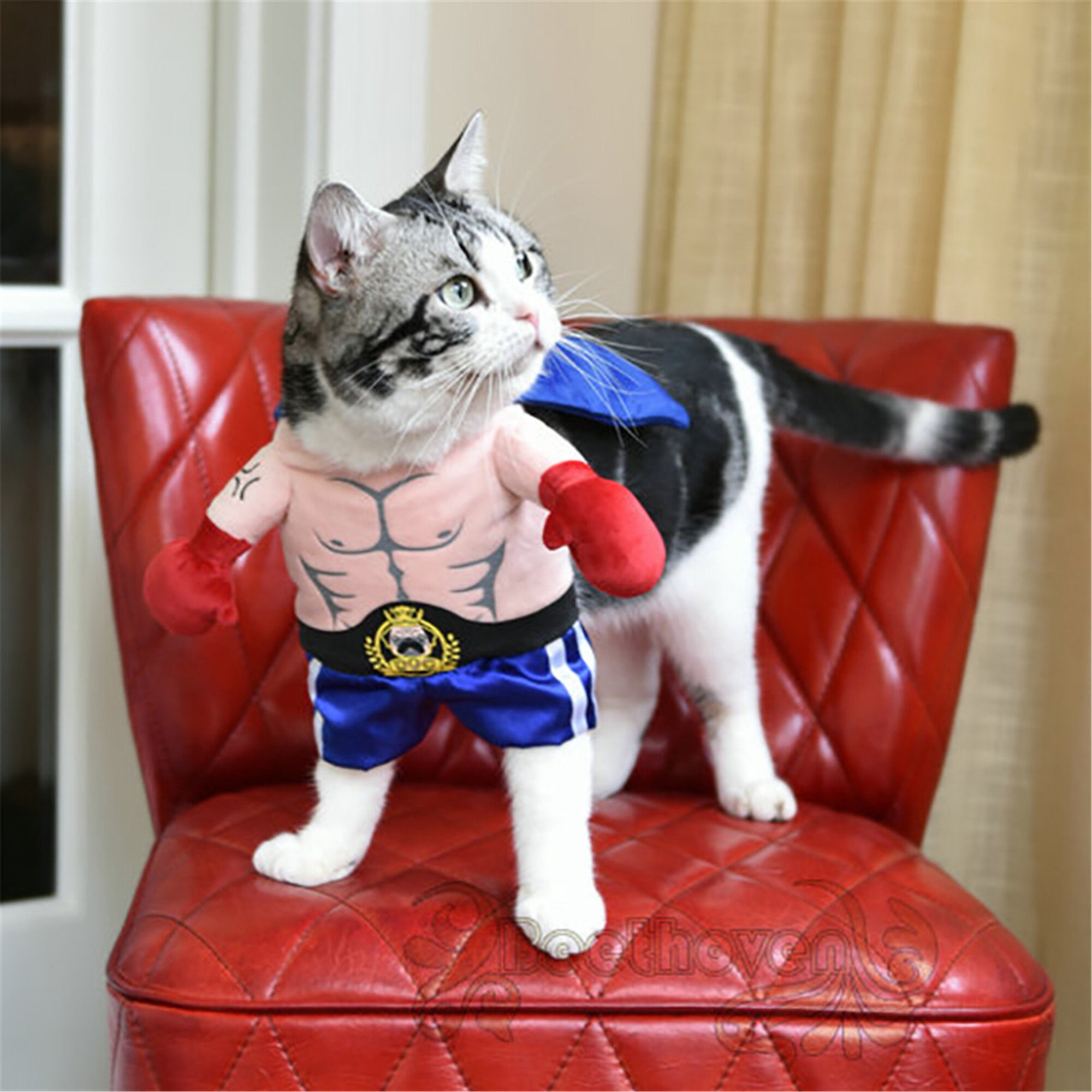 Funny Dog Cat Costumes Boxer Cosplay Suit Pet Clothing Etsy