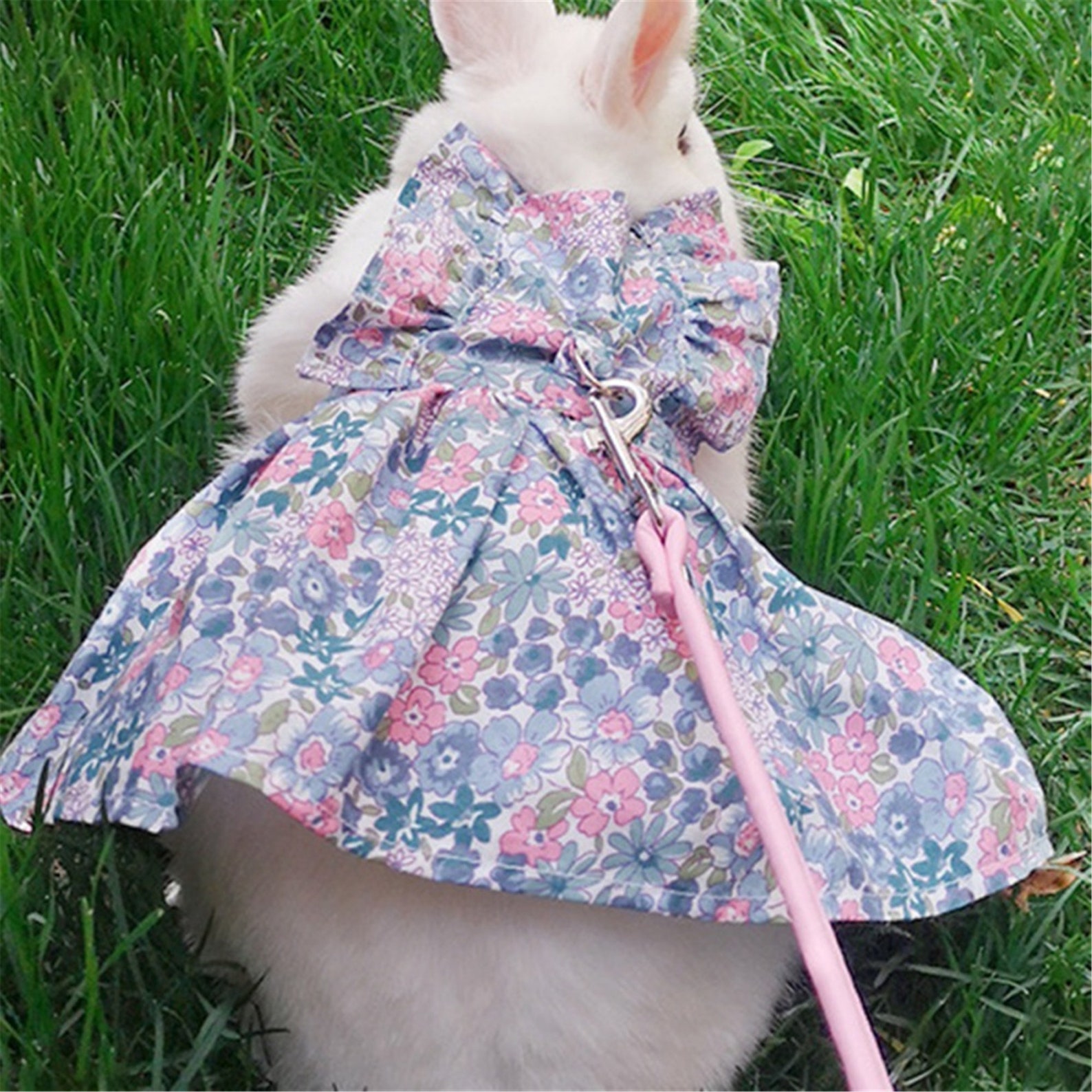 Adjustable Ferret Harness Rabbit Dress jean for Small Cats Etsy