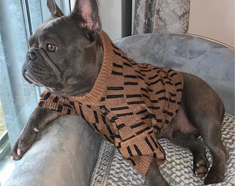 designer dog outfits