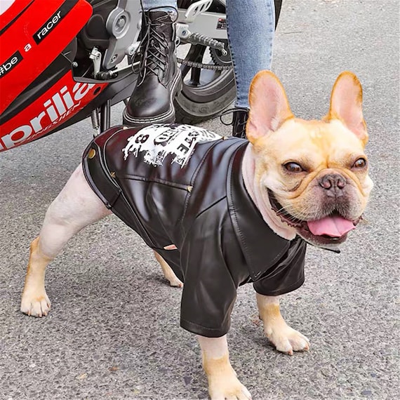 Pet Dog Motorcycle Jacket Biker Jacket Coat Waterproof Winter Etsy