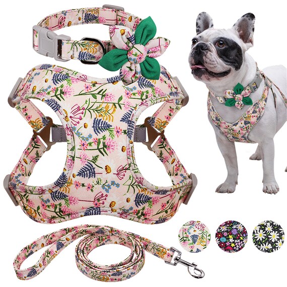 flower dog harness