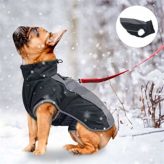 Pet Jacket Dog Clothes Coat Reflective Waterproof Jacket | Etsy