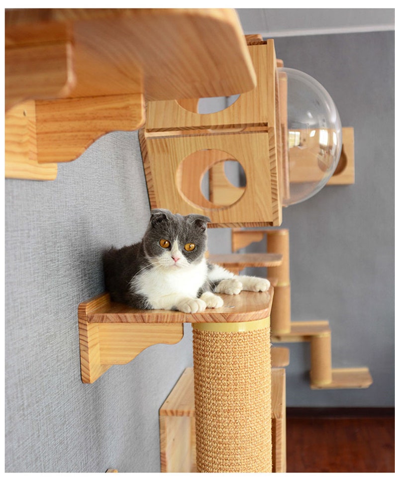 Cat Climbing Frame Pet Cat Tree House Wood Kitten Jumping Etsy