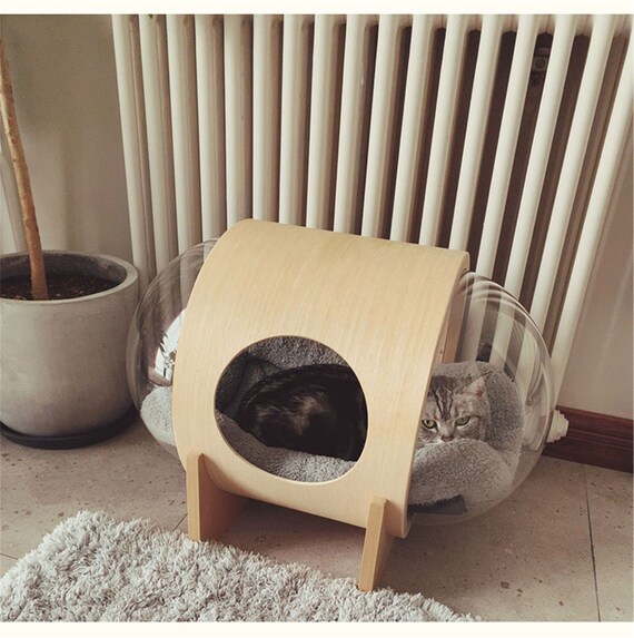 cat space bed