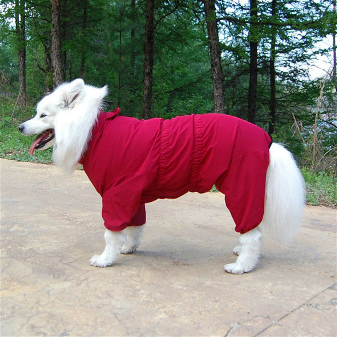 Fashion Big Dog Waterproof Raincoat Samoyed Golden Hair Etsy
