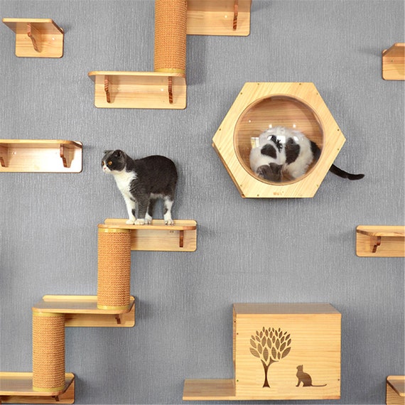 Wallmounted Cat climbing Frame Cat Tree Solid Wood Hexagon Etsy