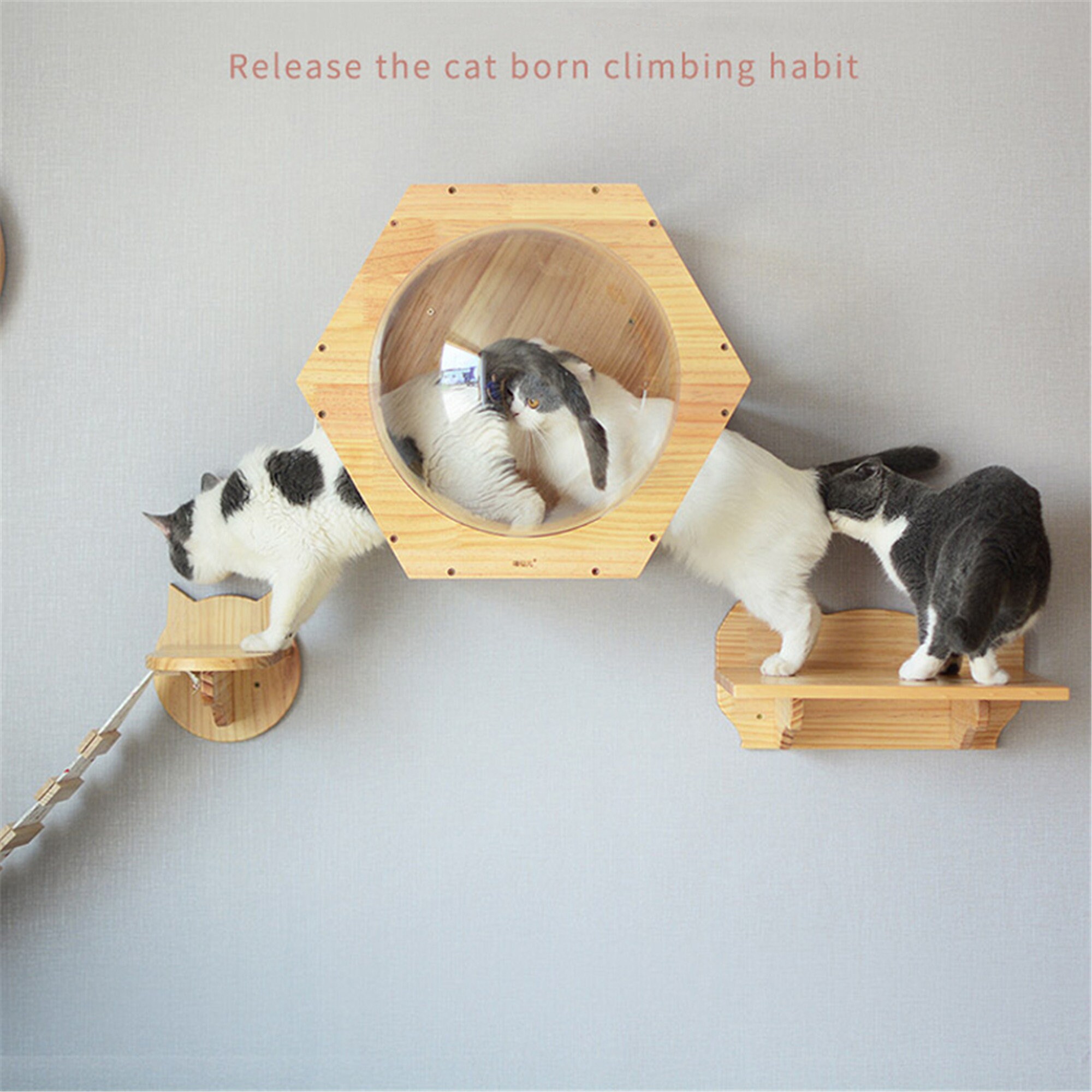 Wallmounted Cat climbing Frame Cat Tree Solid Wood Hexagon Etsy
