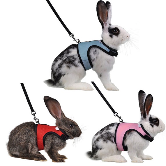 4 Colors Hamster Rabbit Pet Harness with Lead Set Ferret | Etsy