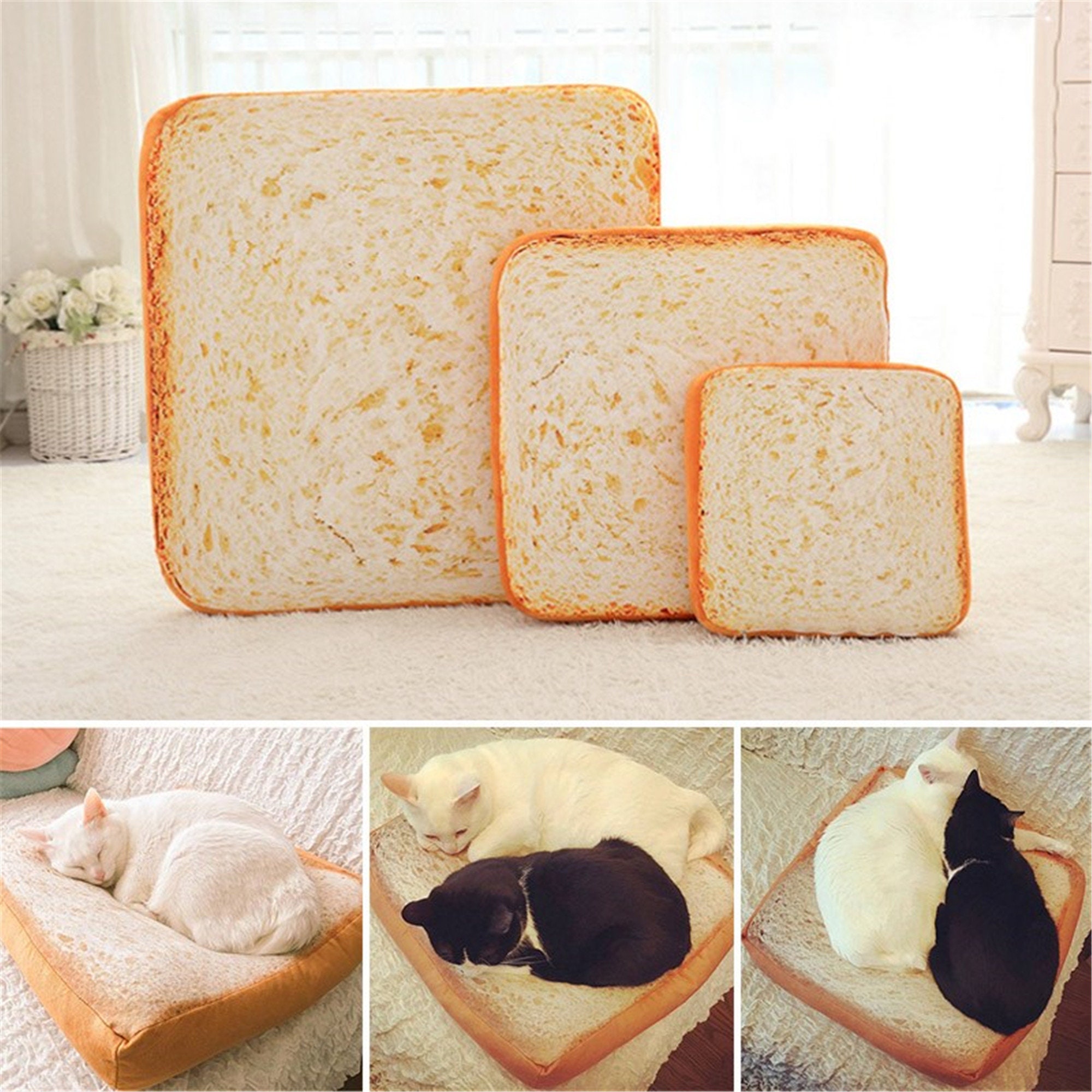 cat bread slice