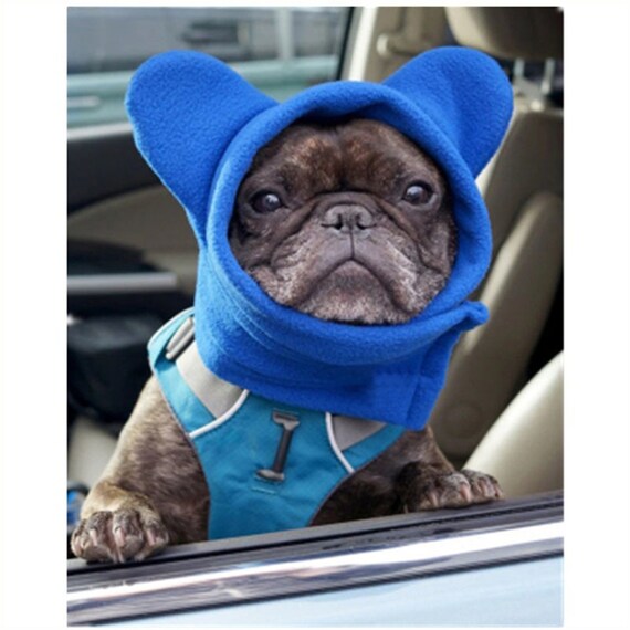 Winter Dog Hat Warm Polar Fleece Pet Hat Velcro And Buckle Etsy