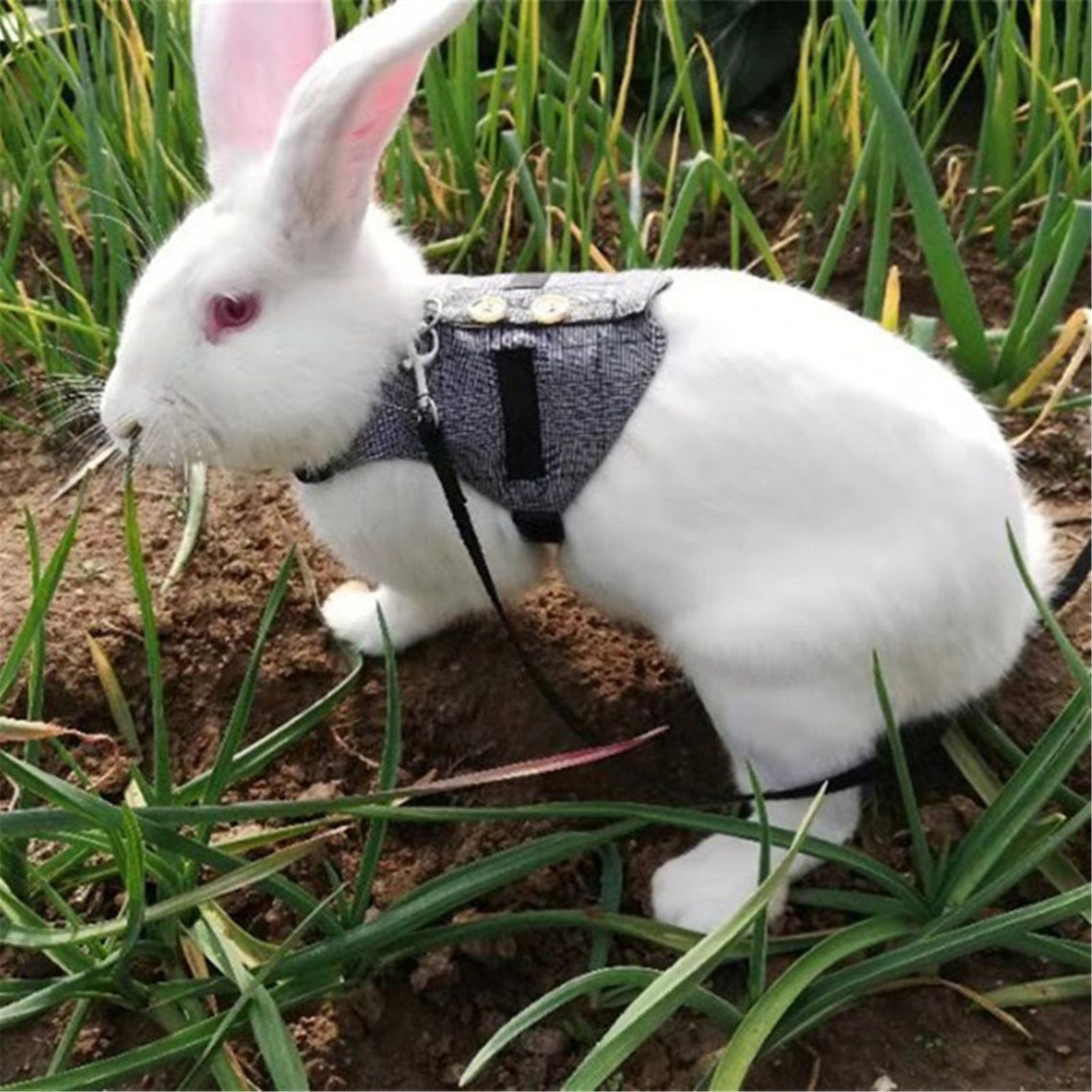Fashion Rabbits Vest Gray Plaid Rabbit Harness And Leash 140cm Etsy