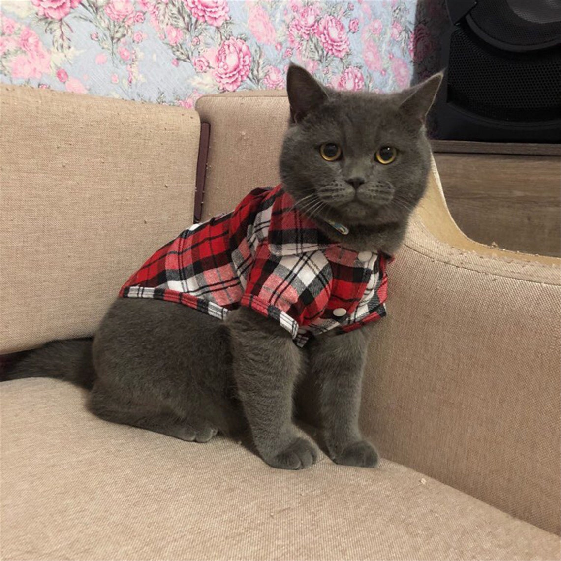 Plaid Cat Clothes Summer Fashion Cat Shirts Coat For Small Etsy