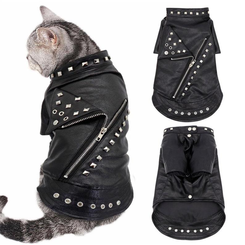 Leder Katze Jacke Warm Dogs Katze Kleidung Mantel Herbst Etsy
