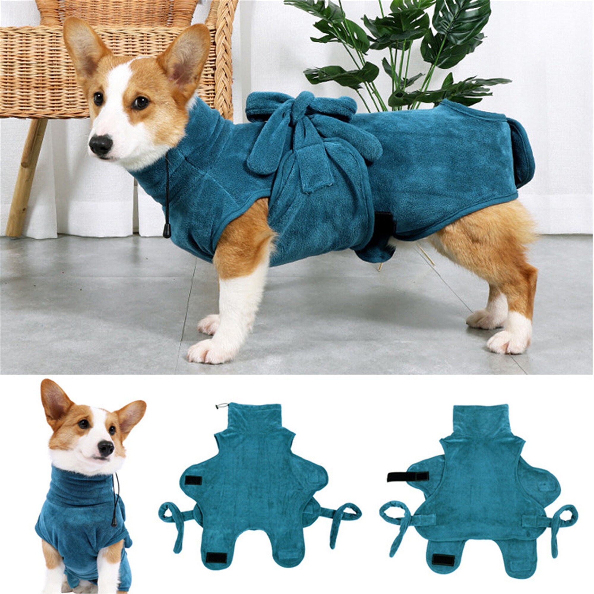 corgi bathing suit
