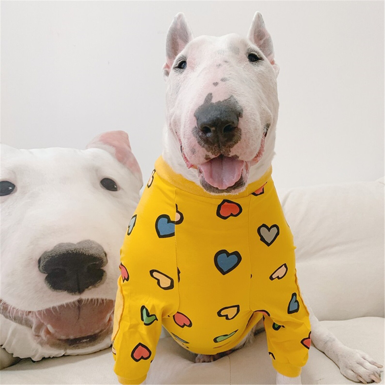 Yellow print love big dog shirt soft and breathable pet Etsy
