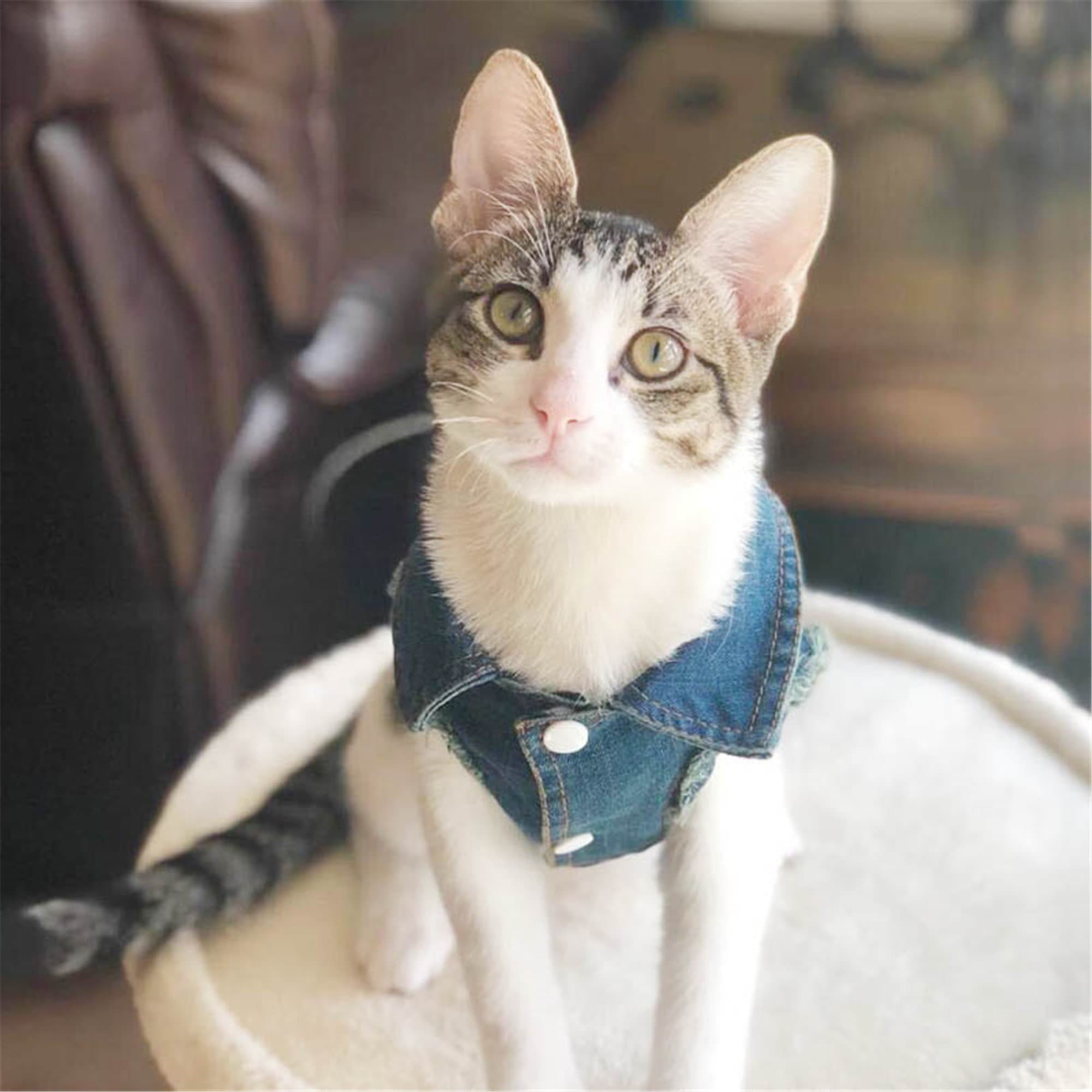 Denim Cat Clothes for Cats Fashion Cat Coat Jacket Warm Etsy