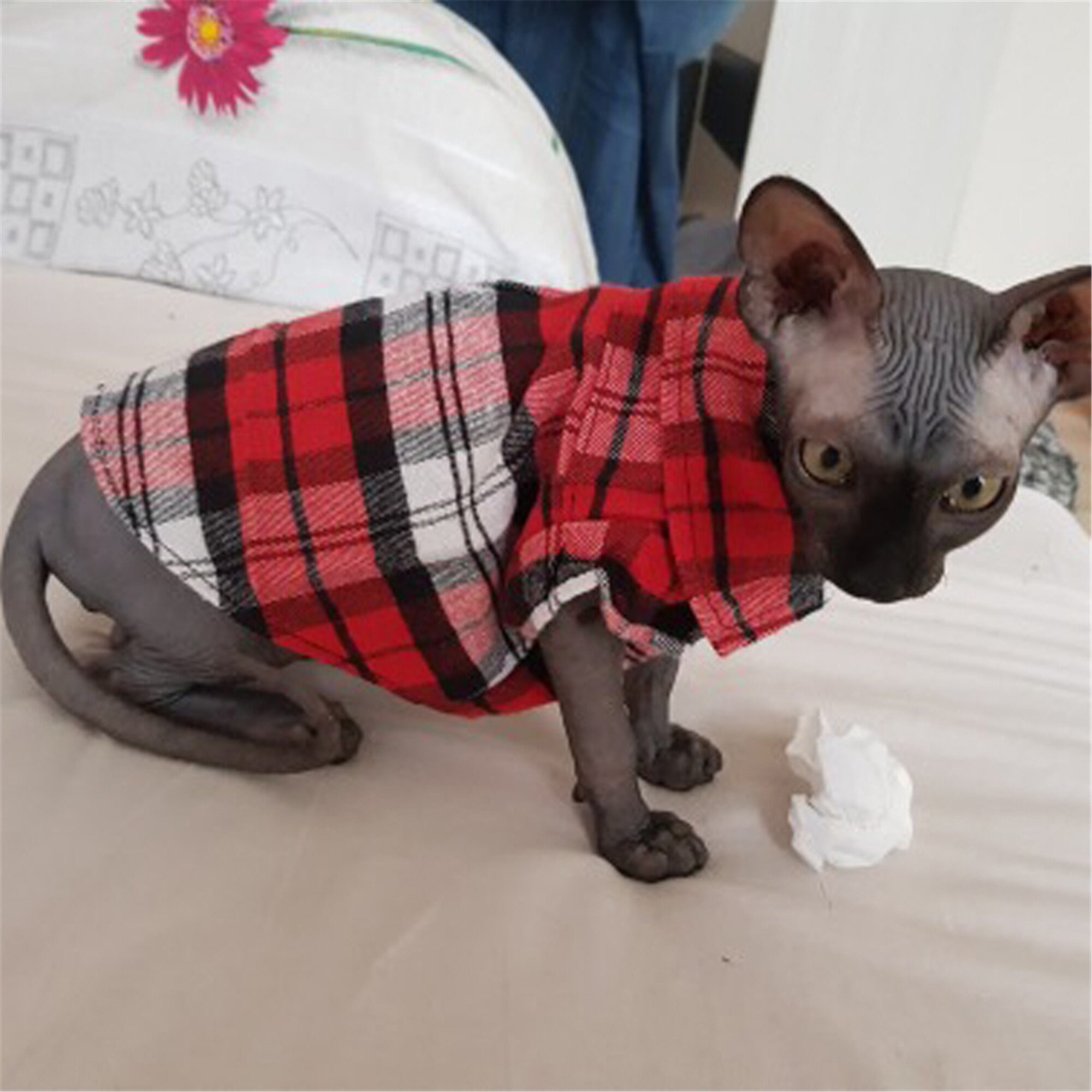 Plaid Cat Clothes Summer Fashion Cat Shirts Coat For Small Etsy