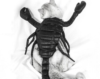 Skorpion Kostum Etsy Deutschland