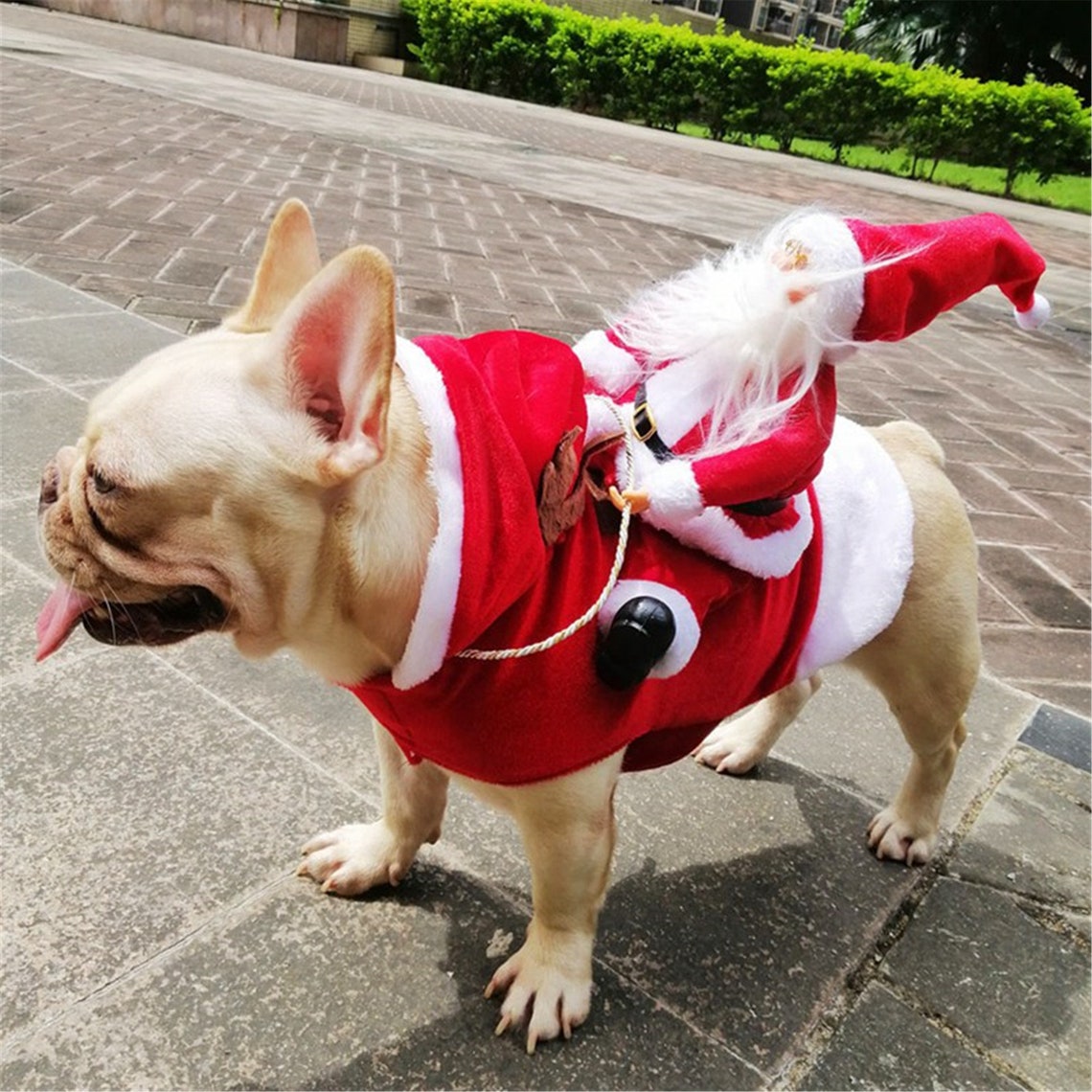 Christmas Dog Clothes Santa Dog Costumes Holiday Party Etsy