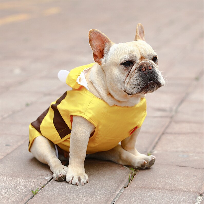 Dog Raincoat Yellow Bead Cute Small Puppy Rain Coat for Large Etsy
