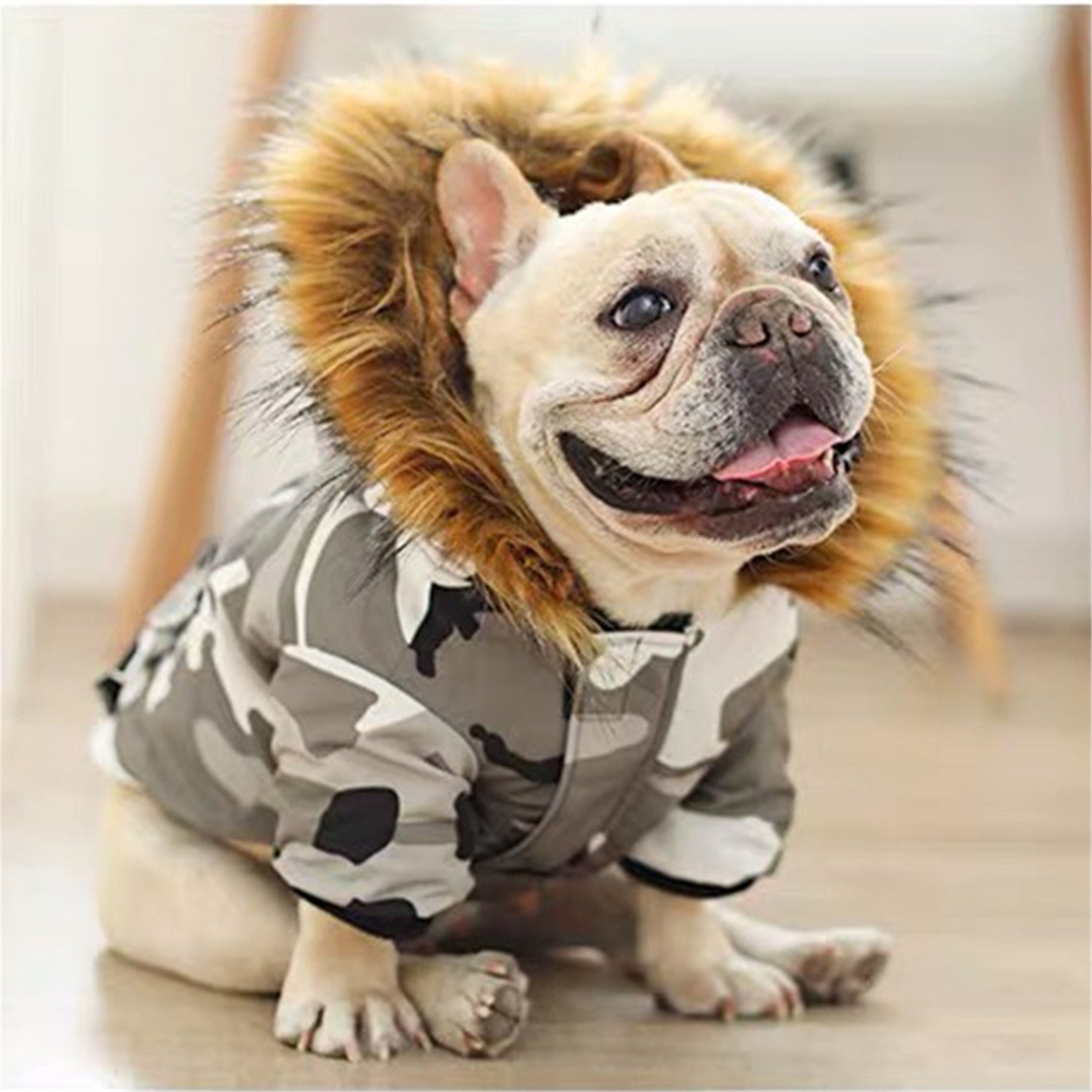 Fashion Pet Dog Down Jacket Wear Dogs Puppy Snowsuit Winter Etsy