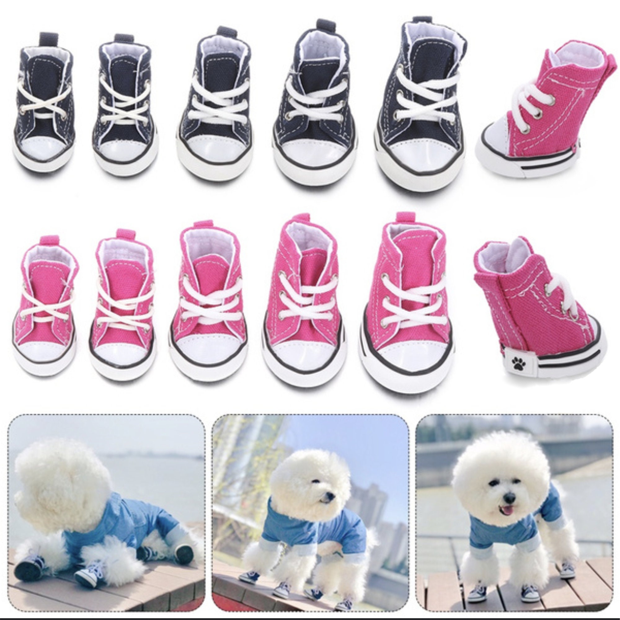 dog canvas shoes