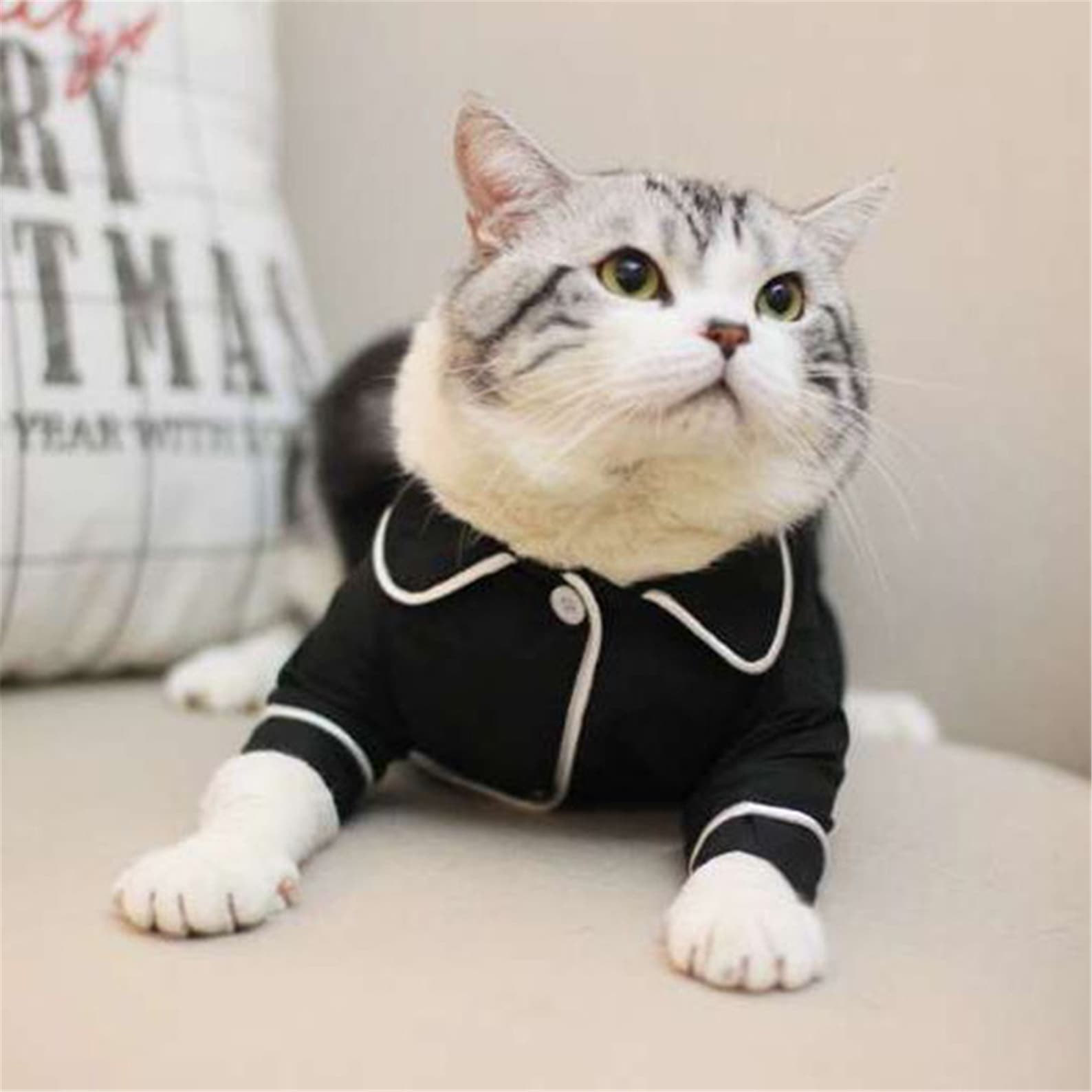 Zachte Pet Kat Kleding Katoen Kitten Outfit Winter kleding Etsy