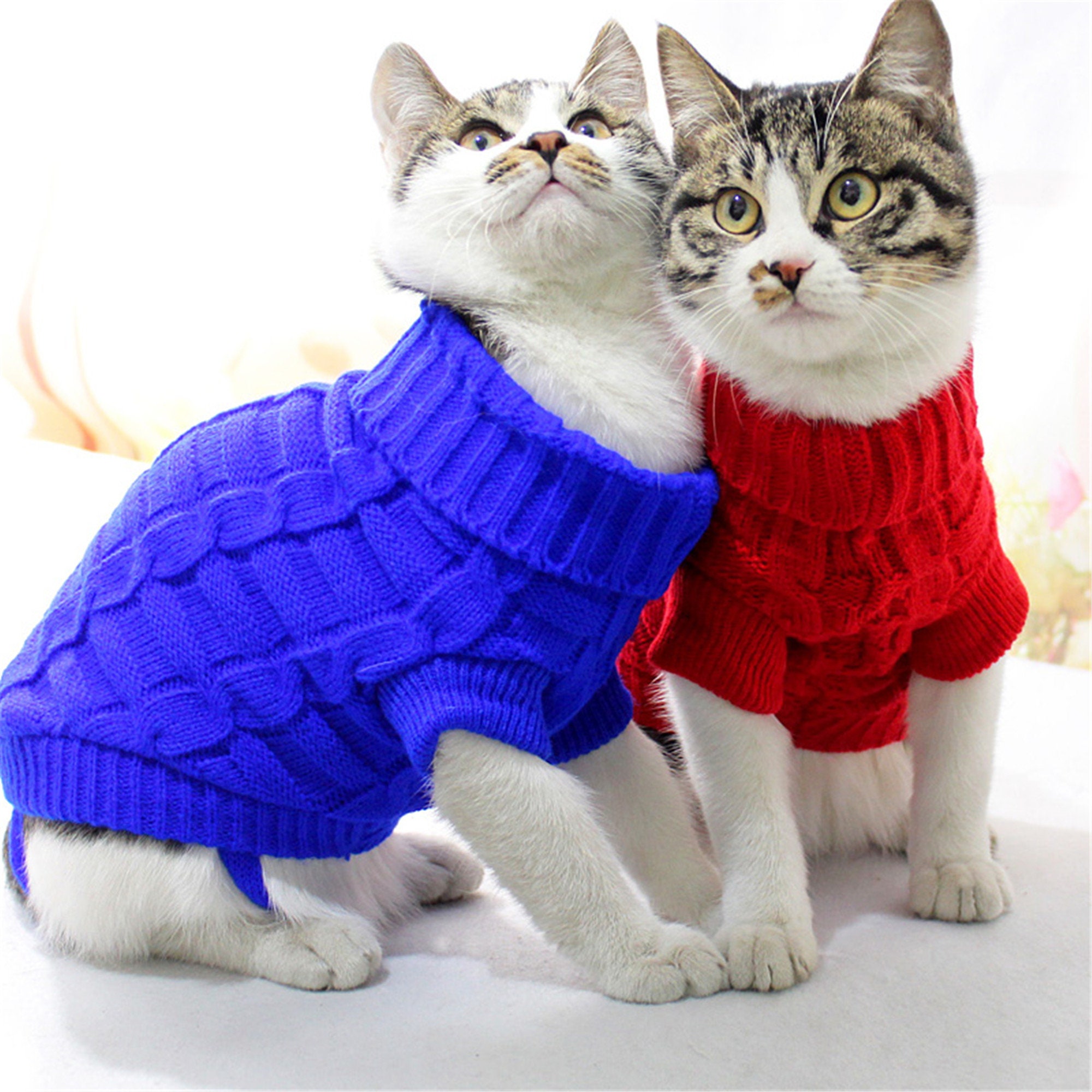 Beknopte Pet Cat Kleding Trui voor Katten Winter Warme Katten Etsy