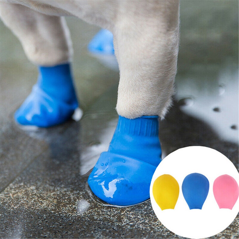 4Pcs/lot Waterproof Dog Shoes For Chihuahua Balloon Type Etsy