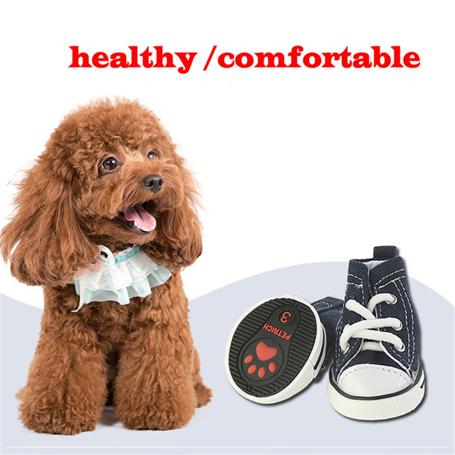 sneaker dog