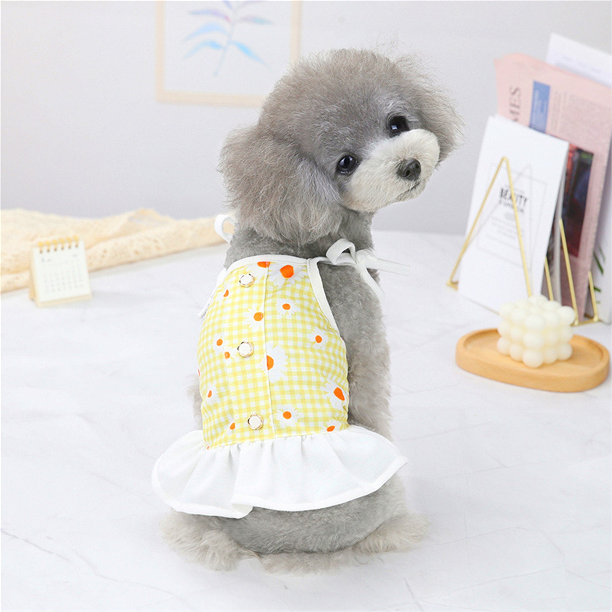 Cute Pet Dog Dress For Dogs Dresses Summer Dog Skirt Puppy Dog | Etsy