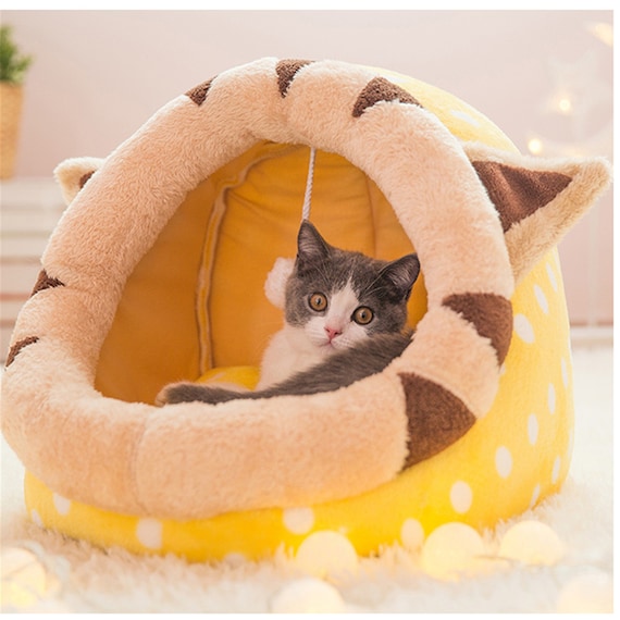 novelty cat bed