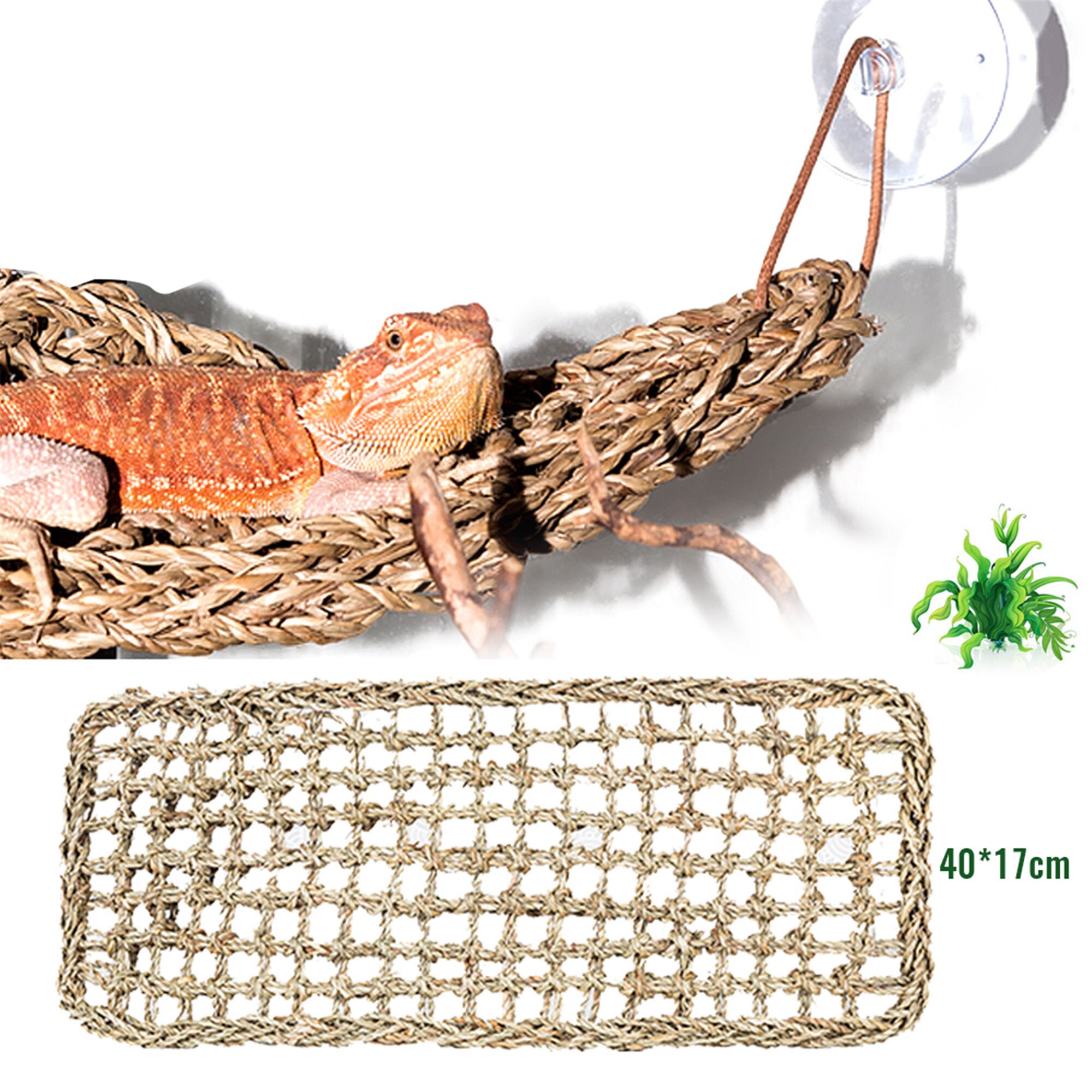 40X17cm Reptile Terrarium For Lizard Lounger Hammock Small Etsy