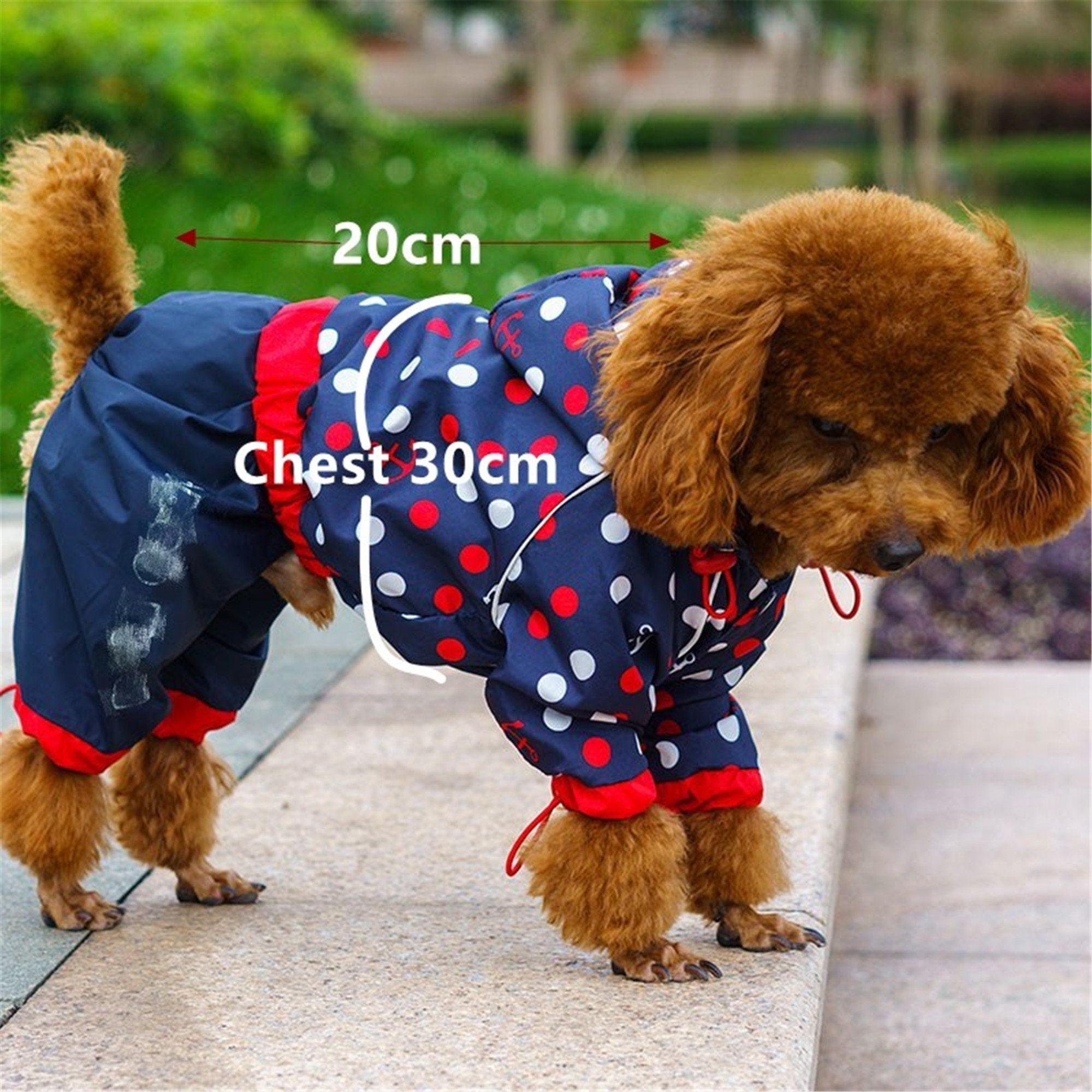 Small Dog Raincoat Waterproof Little Puppies Animal Hooded Pet Etsy