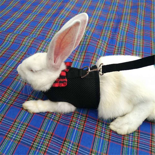 Mini Dot Pattern Harness for Only Rabbit Bunny Dress Harness | Etsy