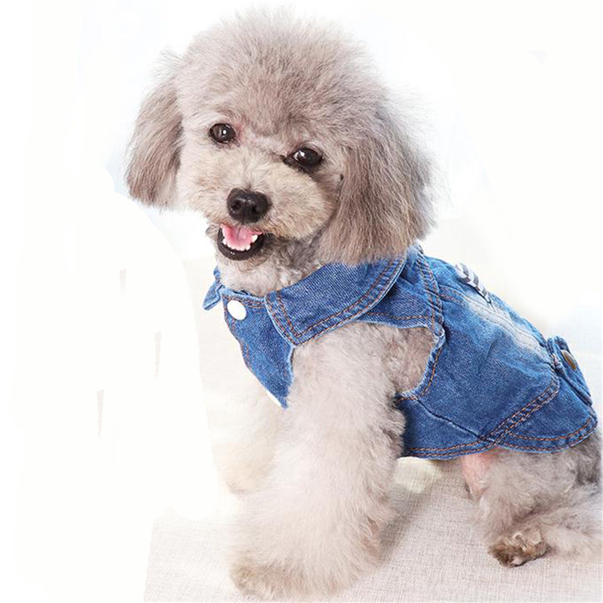 Fashion Pet Dog Denim Coat Jacket for Small Dogs Summer Jean Etsy