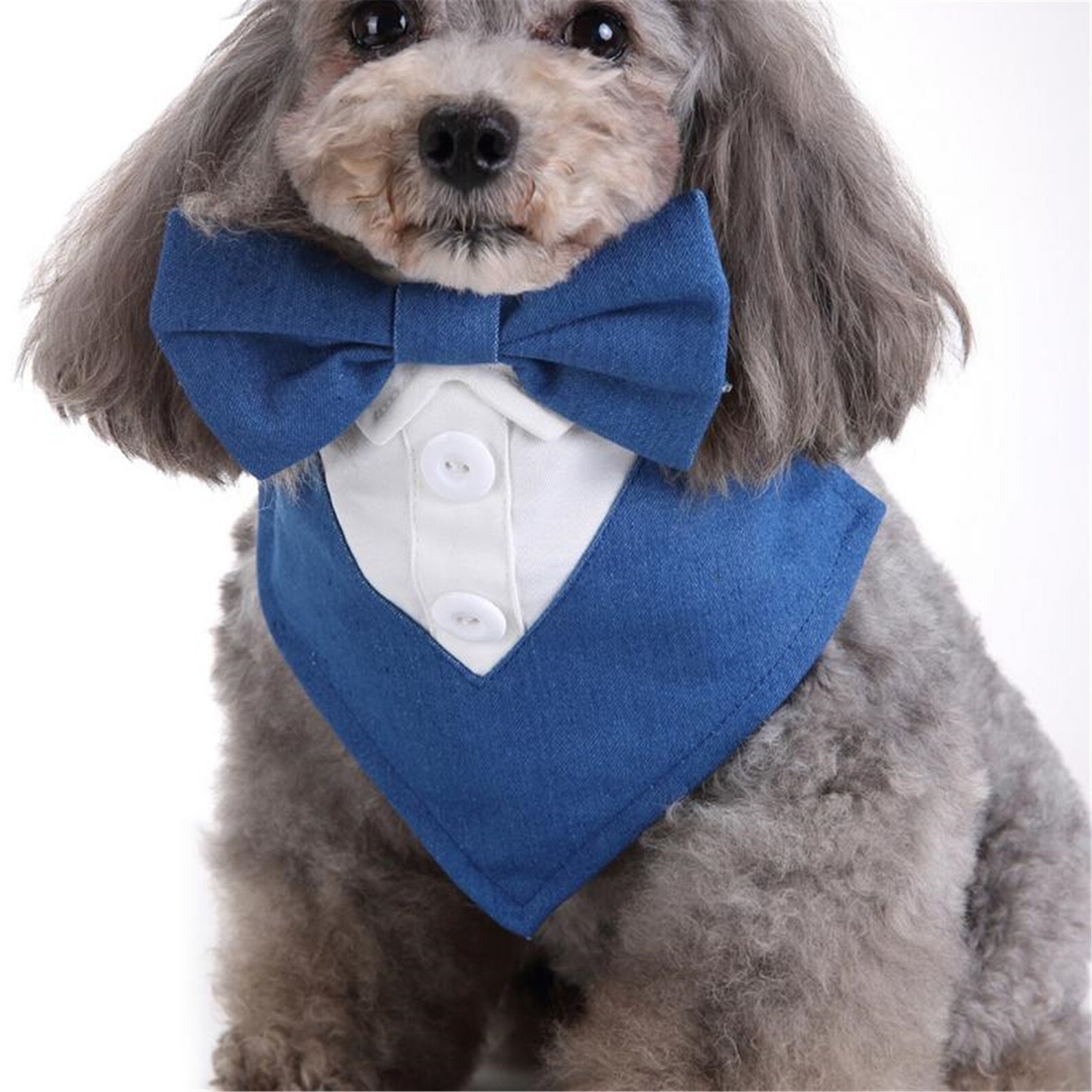 Dog Clothes Bow Tie Pet Clothes Suit Tie Saliva Towel With Pet Etsy