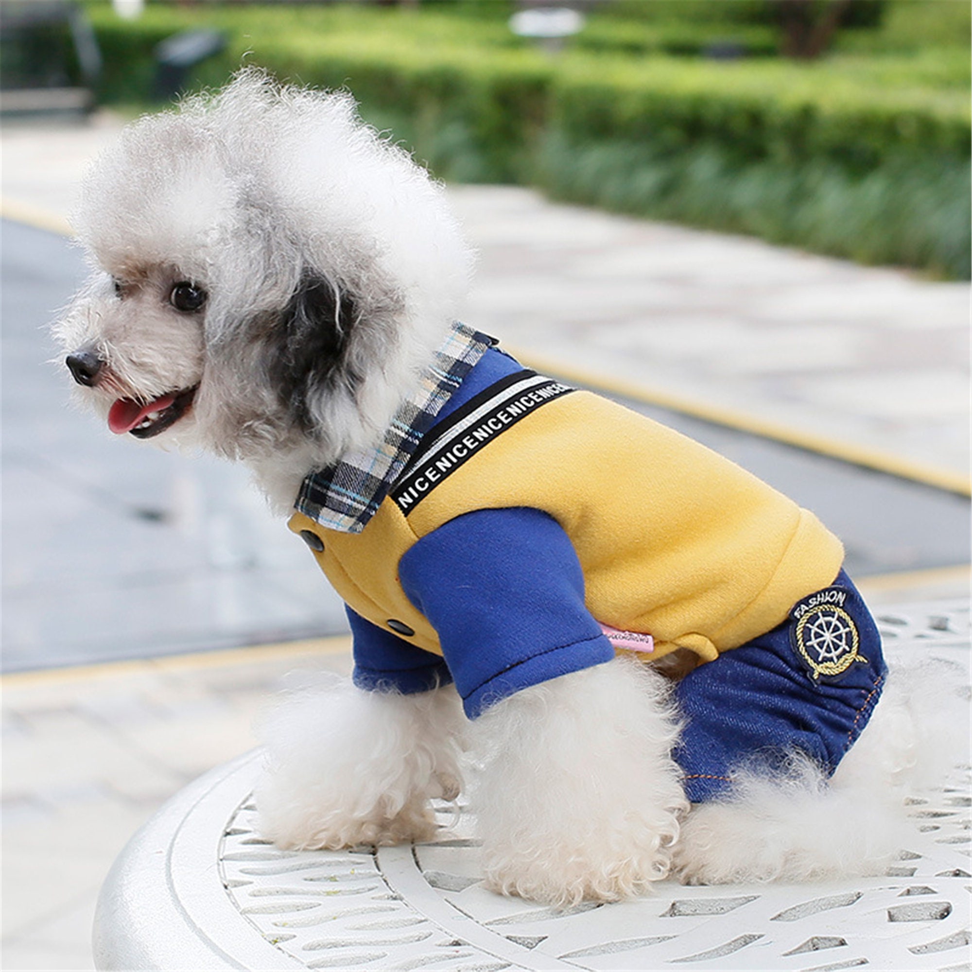 School Uniform Style Dog Clothes Trendy Cute Autumn Winter Etsy