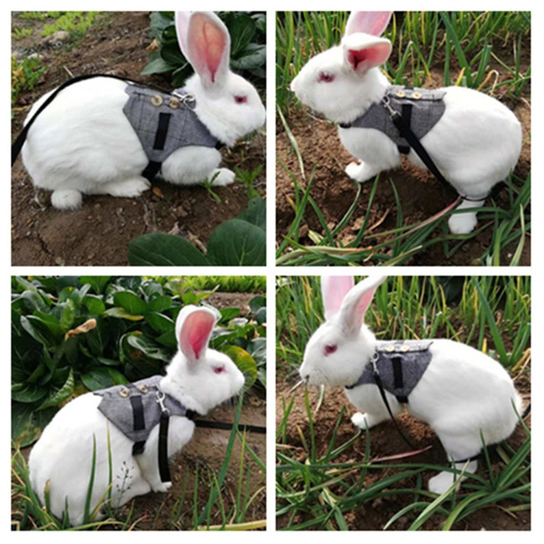 Fashion Rabbits Vest Gray Plaid Rabbit Harness And Leash 140cm Etsy