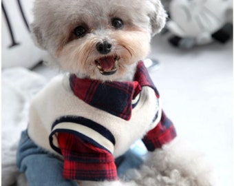 cute boy dog clothes