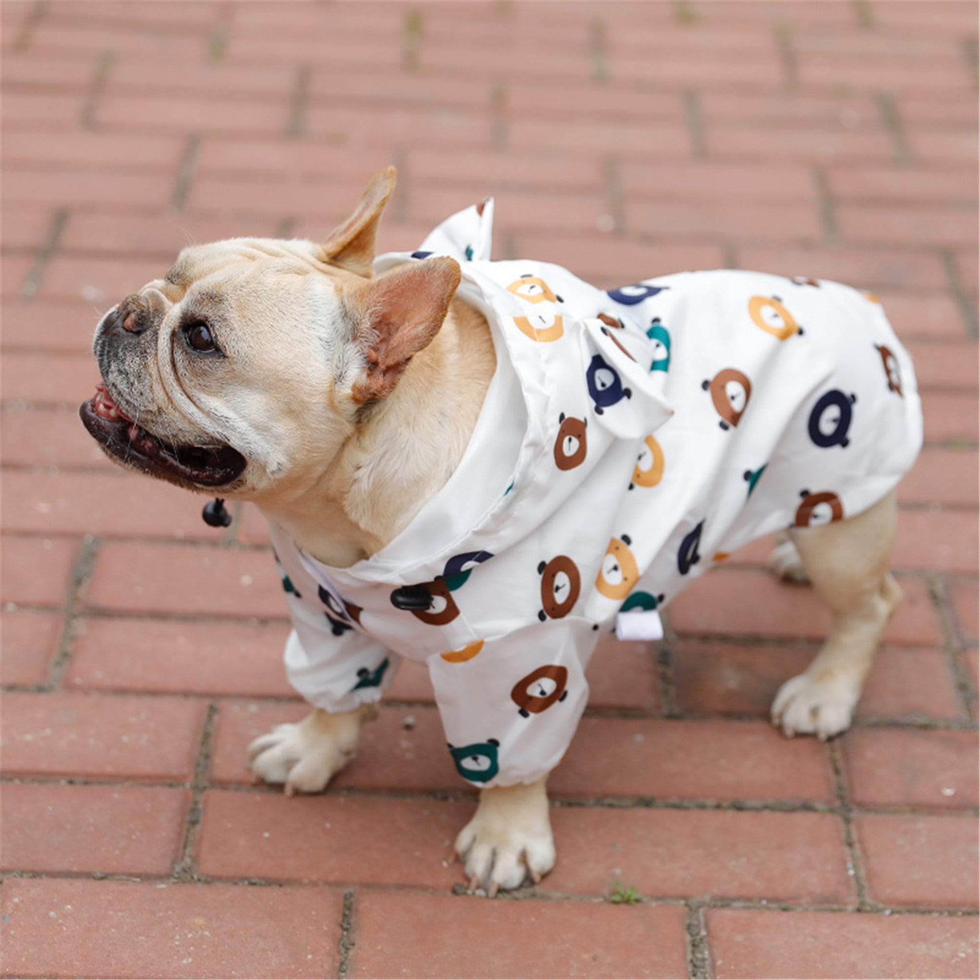 Waterproof Dog Coat Clothes Cute Dog Raincoat for Large Dogs Etsy