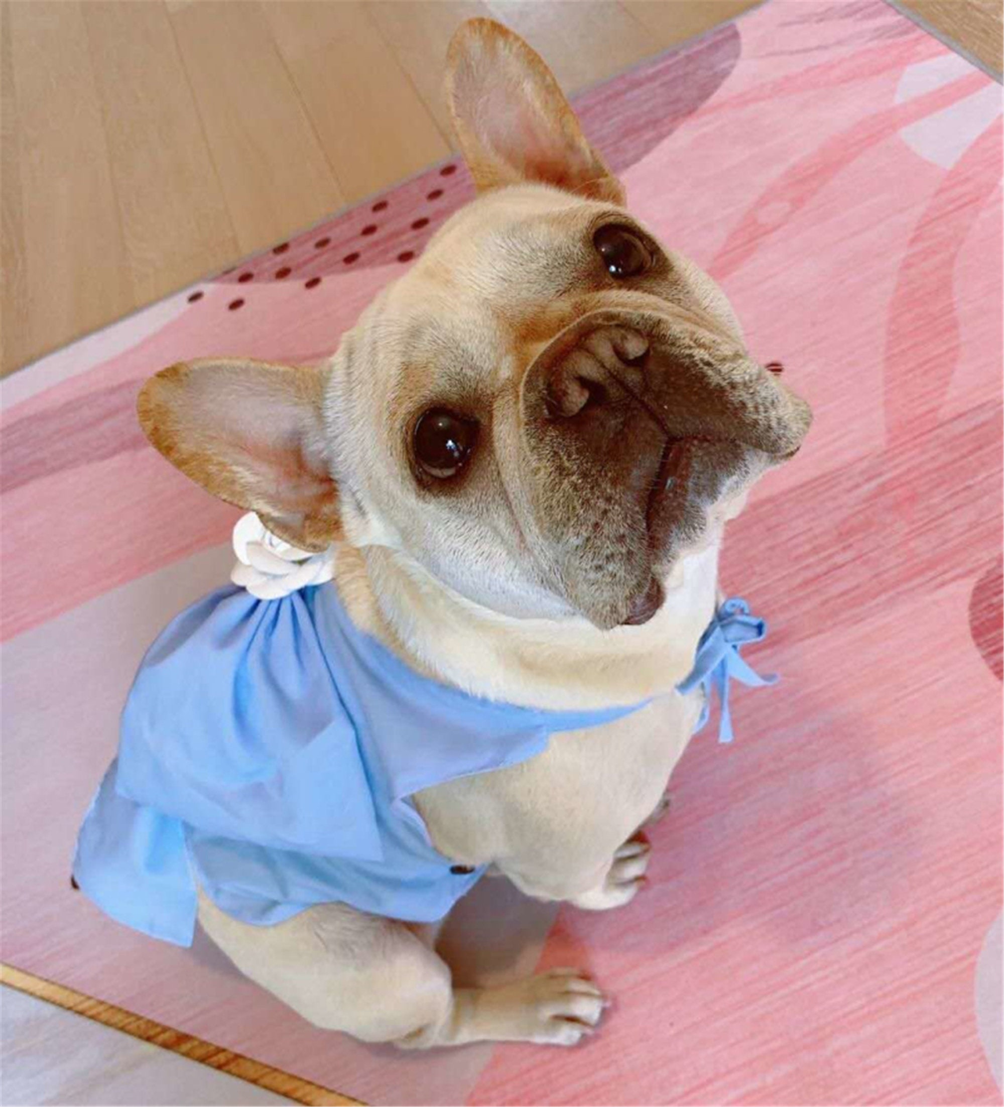 French Bulldog Dress Summer Pet Dresses Poodle Bichon Etsy