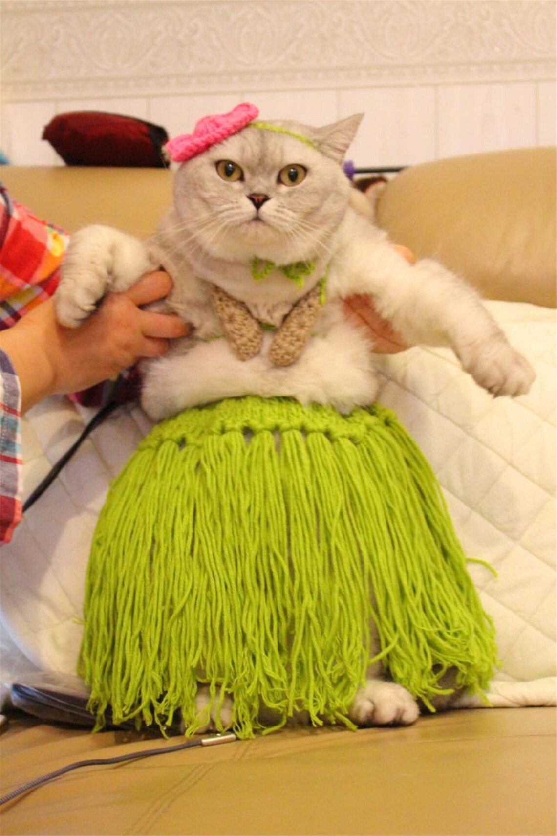 Dog Bikini New Arrival Dog Summer Wear French Bulldog Pug Etsy